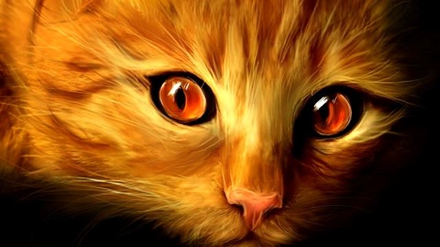 Как человек приручил кошку? И зачем он это сделал ГЛУПЕЦ)