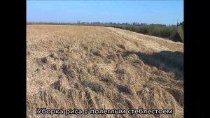 Как без проблем убрать урожай с полеглым стеблестоем. Очесывающая жатка