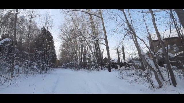 Прогулка вдоль "Дендрария". Новосибирск. смотреть онлайн