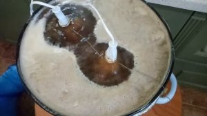 Варим ирландский красный эль