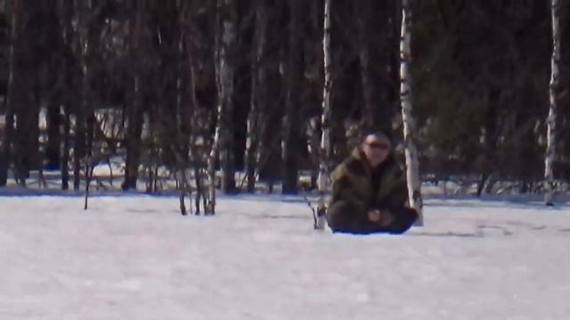 Весновка 2017 смотреть онлайн