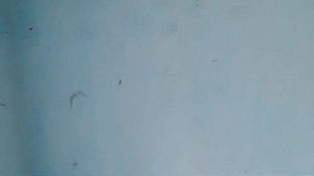 Дешёвый Ремонт Квартиры, Обновляем Обстановку в Комнате, Гипсокартон (Часть 1) смотреть онлайн