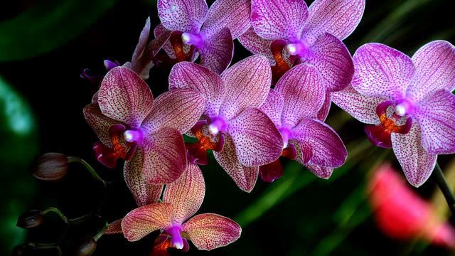 Хорошая русская песня и фото онлайн смотреть онлайн