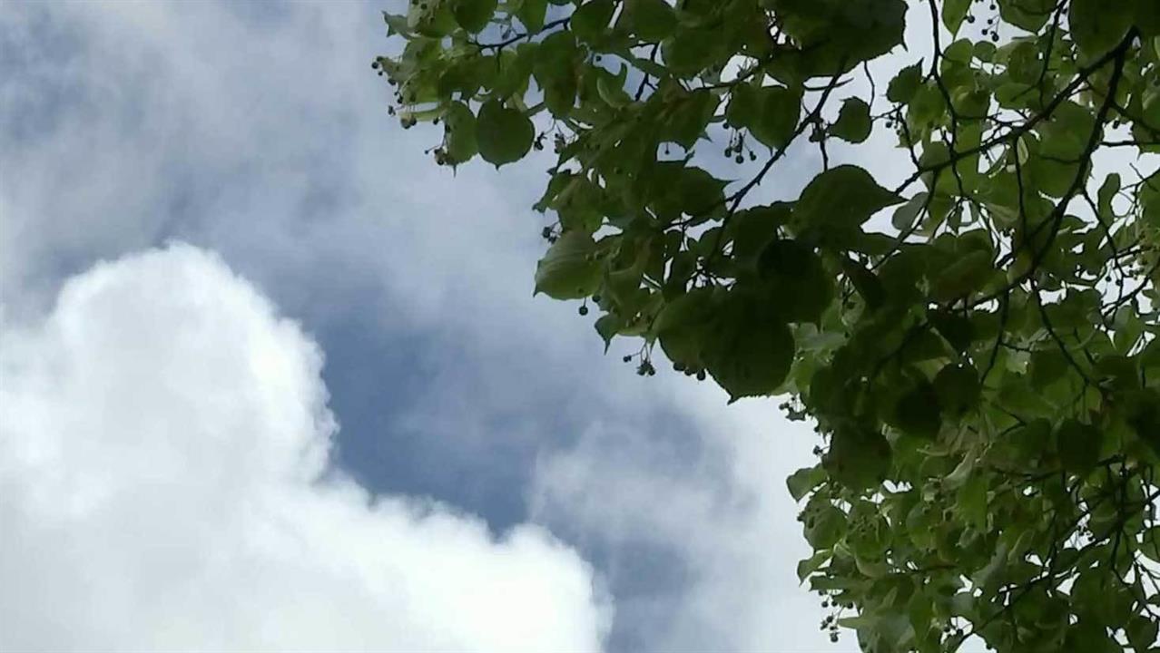На центральный регион России надвигается жара