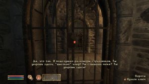 The Elder Scrolls IV: Oblivion. Реплики Валена Дрета о расе персонажа игрока