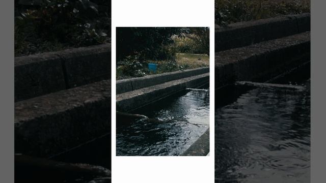 NOSTALGIA IN JAPAN смотреть онлайн