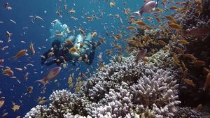 Арка Блю Холл Голубая дыра - Arch Blue Hole Dahab