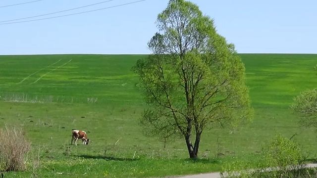 Хутор Долгий Бродок Корочанский район короча покатушки уаз корочанский район белгородской области смотреть онлайн
