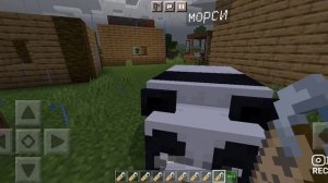 дал имена. своим животным в Minecraft