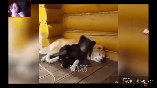 Тест на психику//попробуй не за смеяться смотреть онлайн