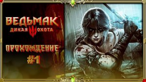 [2K Старенькие игры] Ведьмак 3: Дикая Охота: часть #1