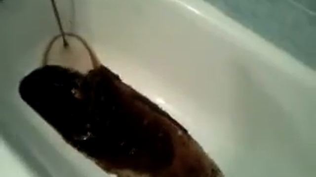 Вода из крана смотреть онлайн