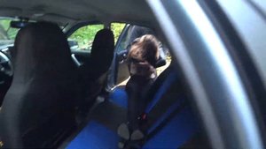 | ПРАНК НАД ДЕВУШКОЙ | УСЫПИЛИ | БРОСИЛИ В ЛЕСУ |