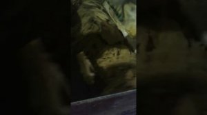 состав для лего кирпича