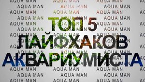 ТОП 5 ЛАЙФХАКОВ АКВАРИУМИСТА #АКВАМЕН #ЛАЙФХАК