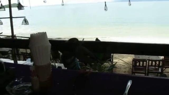 Наглая птичка смотреть онлайн