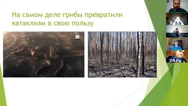 Онлайн занятие Маленький принц  Увлекательные науки  Грибы 7 смотреть онлайн