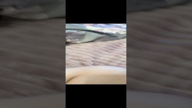 это видео смр попрыгунчики слежкой замела