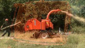 Дробилка для дерева Timberwolf TW350