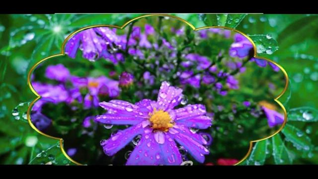 131. Подруге в День Рождения смотреть онлайн