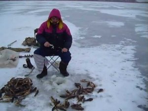 Рыбалка Ловля ратана.AVI