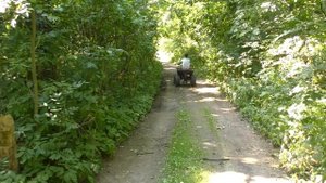 ЧТО МЫ НАШЛИ В ЭТОМ ПОДВАЛЕ В ЛЕСУ  SCP СКРОМНИК ДИМА И СОФИЯ ЗАГАДКИ