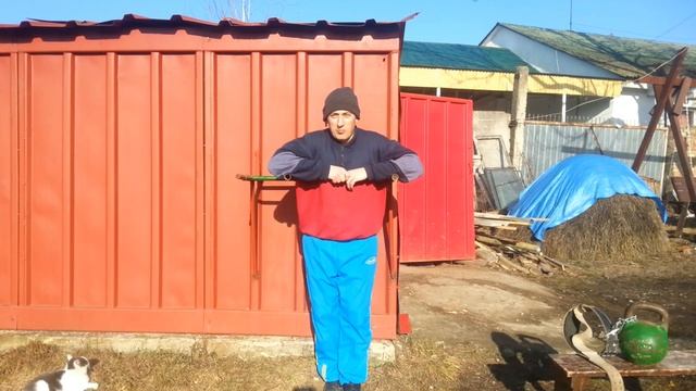 Отжимания на брусьях: Какие мышцы на них качаются и как? смотреть онлайн