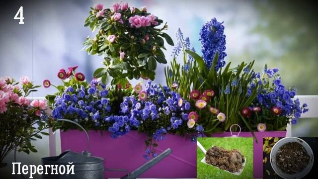 Лучшие натуральные удобрения для комнатных растений смотреть онлайн