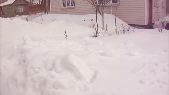 Работы в теплице 31 марта 2018 года. Всходит горчица. смотреть онлайн