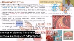 Cómo actúa - Crisis curativa. Ganoderma Lucidum de Gano Excel