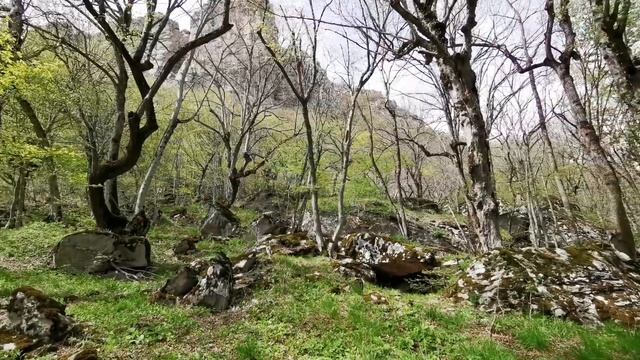 ТАЙНЫ И МИСТИКА ГОРЫ БЕШТАУ  ⛰️ЛИСИЙ НОС. ПЕЩЕРА ОТШЕЛЬНИКА. ЯЗЫЧЕСКИЙ ЛАБИРИНТ. ЗАГАДОЧНЫЕ РИСУНКИ