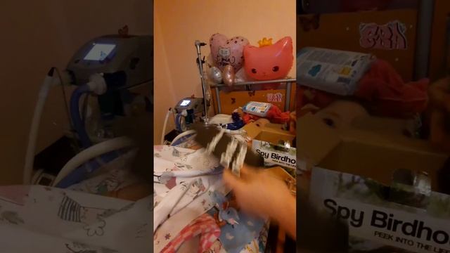 ну вот, опять что то новенькое для разнообразия принцессы с папой ?#евасма1 #папасаша