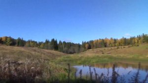 #Лысьвенскийокруг д.Куропашка,назад в прошлое 100-летней давности, сдесь шли бои.