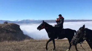 Лошади Кабардинской породы(2)