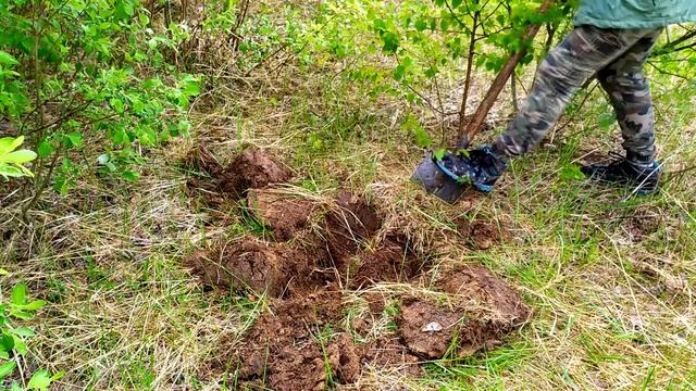 ЧЕМ БОЛЬШЕ РЕЛЬС ТЕМ ЛУЧШЕ. КОП МЕТАЛЛОЛОМА НА БРОШЕННОЙ ВЕТКЕ УЖД смотреть онлайн