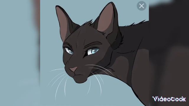 Грач эдит смотреть онлайн