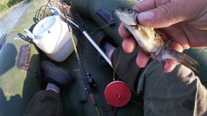Рыбалка на летние жерлицы(кружки)оставили на ночь