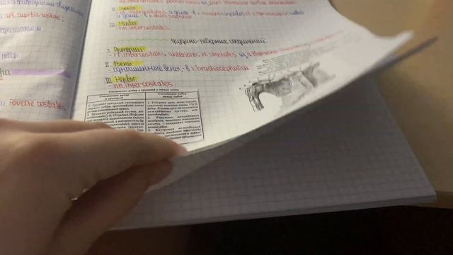 study на карантине ??|| ушли на шашлыки ? || сделала маникюр ? смотреть онлайн