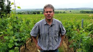 Фабрис Гане о Каберне Фран