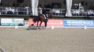 Caroline Osmont & Don Quichot (FRA) - CDI 4* Perl / Dressur Gala Gestüt Peterhof - Small Tour