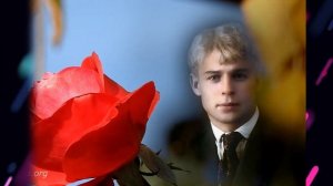 Стихи. Есенин. Не гляди на меня с упреком. ?