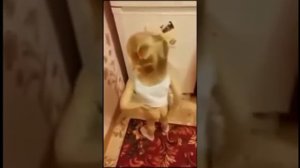 Кто накакал? Попа? / Who pooped? Popa?