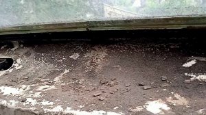 КАК вытащить "лобовое" стекло из Москвича для замены его уплотнителя?!