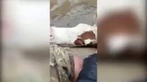 Герои спасают братьев наших меньших во - время  наводнения