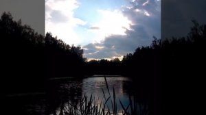 Любимая мама. Стихи. Читает Автор: Наталья Комиссарова