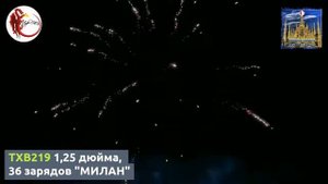TXB219 1,25 дюйма, 36 зарядов "МИЛАН"