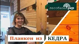 Планкен из КЕДРА эксклюзив!