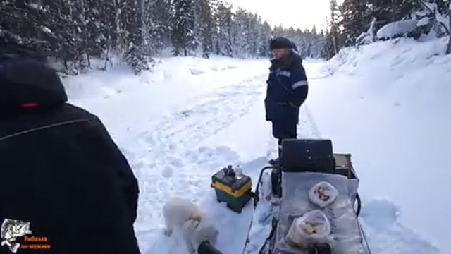 Рыбалка на Хариуса /С кем КАЮР, у того клюёт