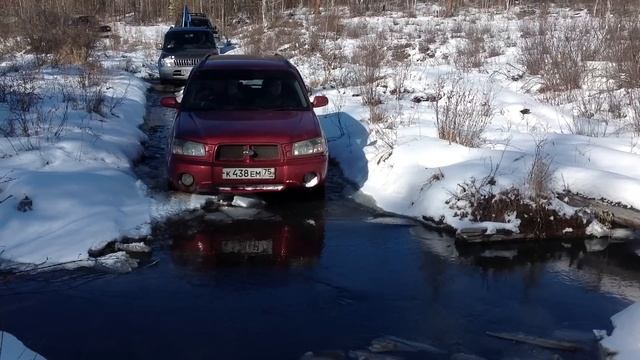 Какино-Вверх-Нарым 2012