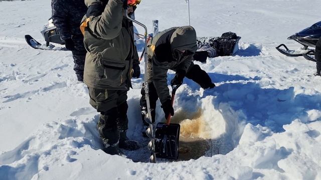 Отбор проб на Васюганском болоте. Совместная экспедиция ТГУ и Заповедника "Васюганский" смотреть онлайн